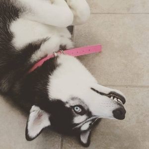 Meet your Posher, Victoria